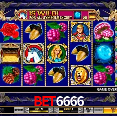 bet6666 Salvador - Bonus Stats